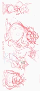 Rough60