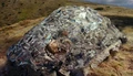 Brom's Tomb.jpg