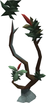 Entgallow tree
