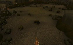 Evil Chicken mine.png