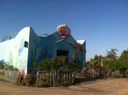Mermaid ride or something