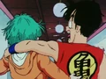 BulmaDont