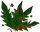 Grimy dwarf weed detail