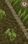 Hammerstone2