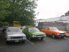 Gremlin-Pinto-Vega in 2010