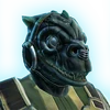 Qyzen fess