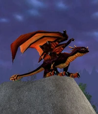 Image of Highland Black Drake