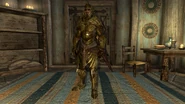ElvenArmorIdle