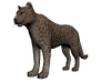 Khan el jaguar