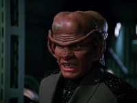 DrFarek