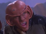 Letek.jpg