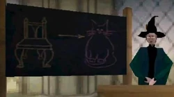 Chair to cat