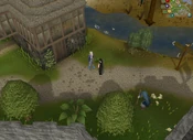 Lumbridge guide