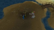 Lunar Diplomacy Safespot