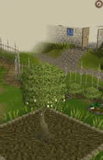 Magic6