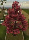 102px-Maple_tree_detail.png