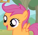 Scootaloo outside S1E18.png