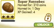 Super Kennebec Locked