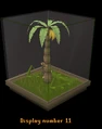 Monkey display.png