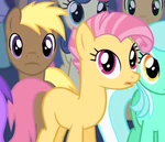 Candy Mane id.png