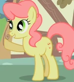 Pink Whirls.png