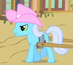 Manliest pony.jpg