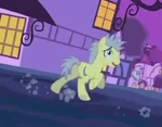 UnknownStallion.png
