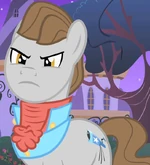 Star Gazer.png