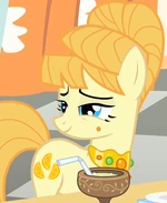 Aunt Orange.png