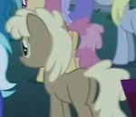 Sandy.png