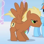 Pony l.png