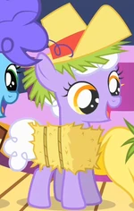 Cotton Top.png