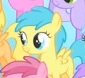 Rainy Feather.png
