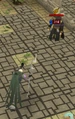 Nomad kills mage.png