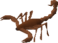 Old scorpion