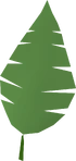 Palm leaf detail