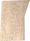 Papyrus detail
