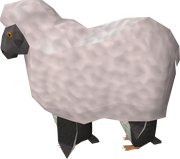 Pinguim Sheep