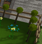 Picket Fence
