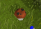 Player mushroom
