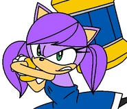 Sam Test Attack