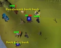 Randoms