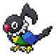 Chatotmain1
