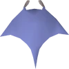 Raw manta ray detail