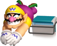 Wario CRACK