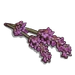 Lavender Flower-icon.png