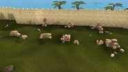Ruins3