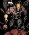 Hawkman 0017