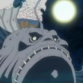 Ankoro portrait
