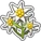 Crop Edelweiss
